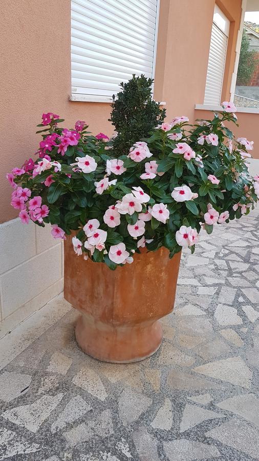 Apartman Jukic Marina Exterior foto